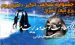 تعطیلات تابستانی در جشنواره شگفت انگیز دلفیناریوم برج میلاد و هلدینگ ایران فان