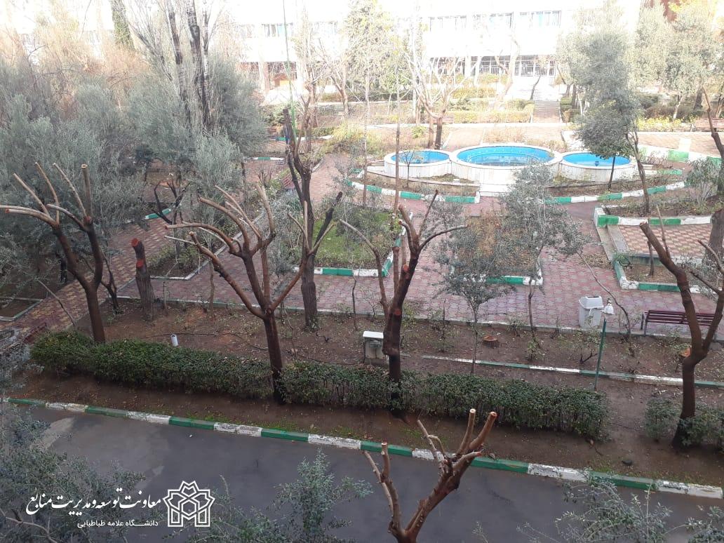 همکاری شهرداری منطقه ۲۲ با دانشگاه برای نگهداری بهینه فضای سبز